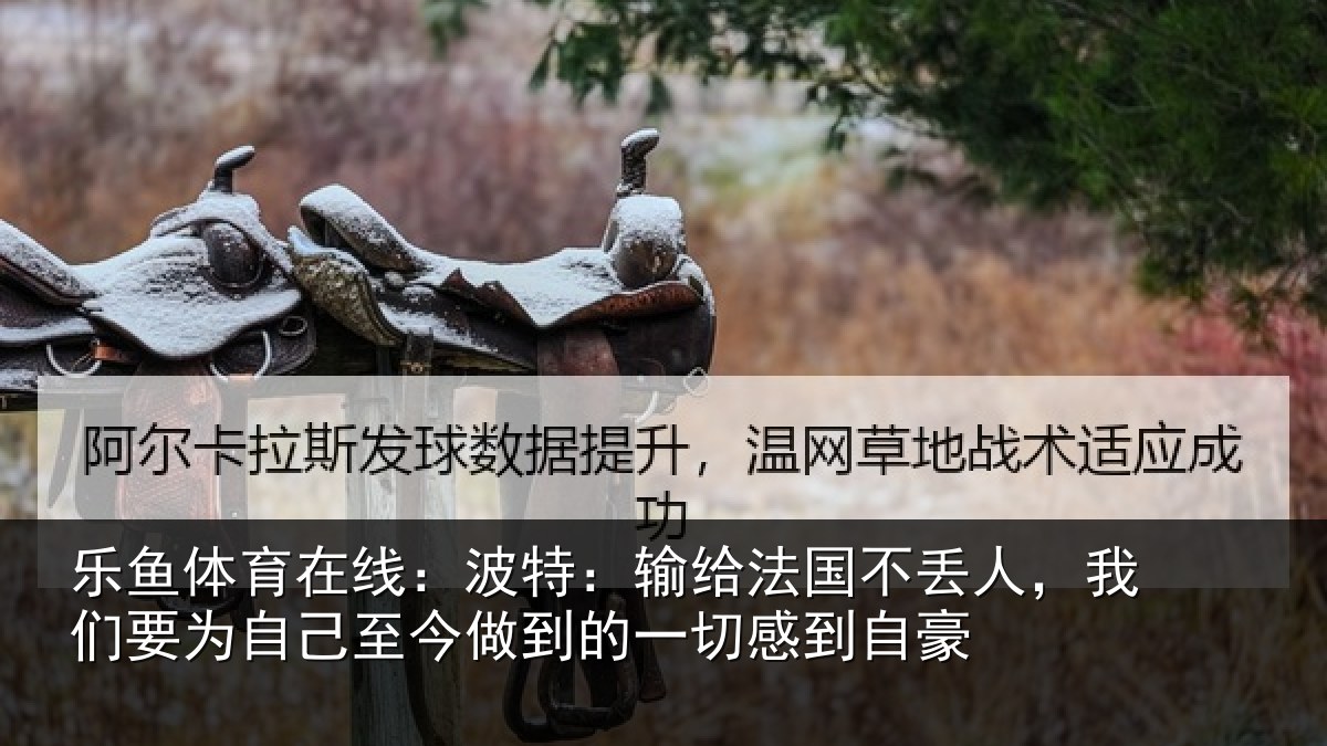 乐鱼体育在线:波特相关情况们要相关情况一切感到自豪