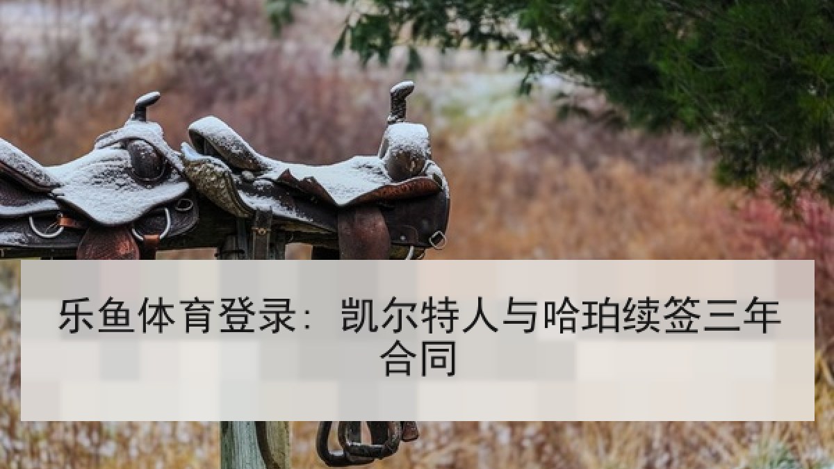 乐鱼体育登录: 凯尔特人与哈珀续签三年合同