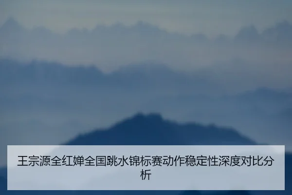 wang-zong-yuan-quan-hong-chan-quan-guo-tiao-shui-jin-biao-sai-dong-zuo-wen-ding-xing-shen-du-dui-bi-fen-xi-2-989.jpg